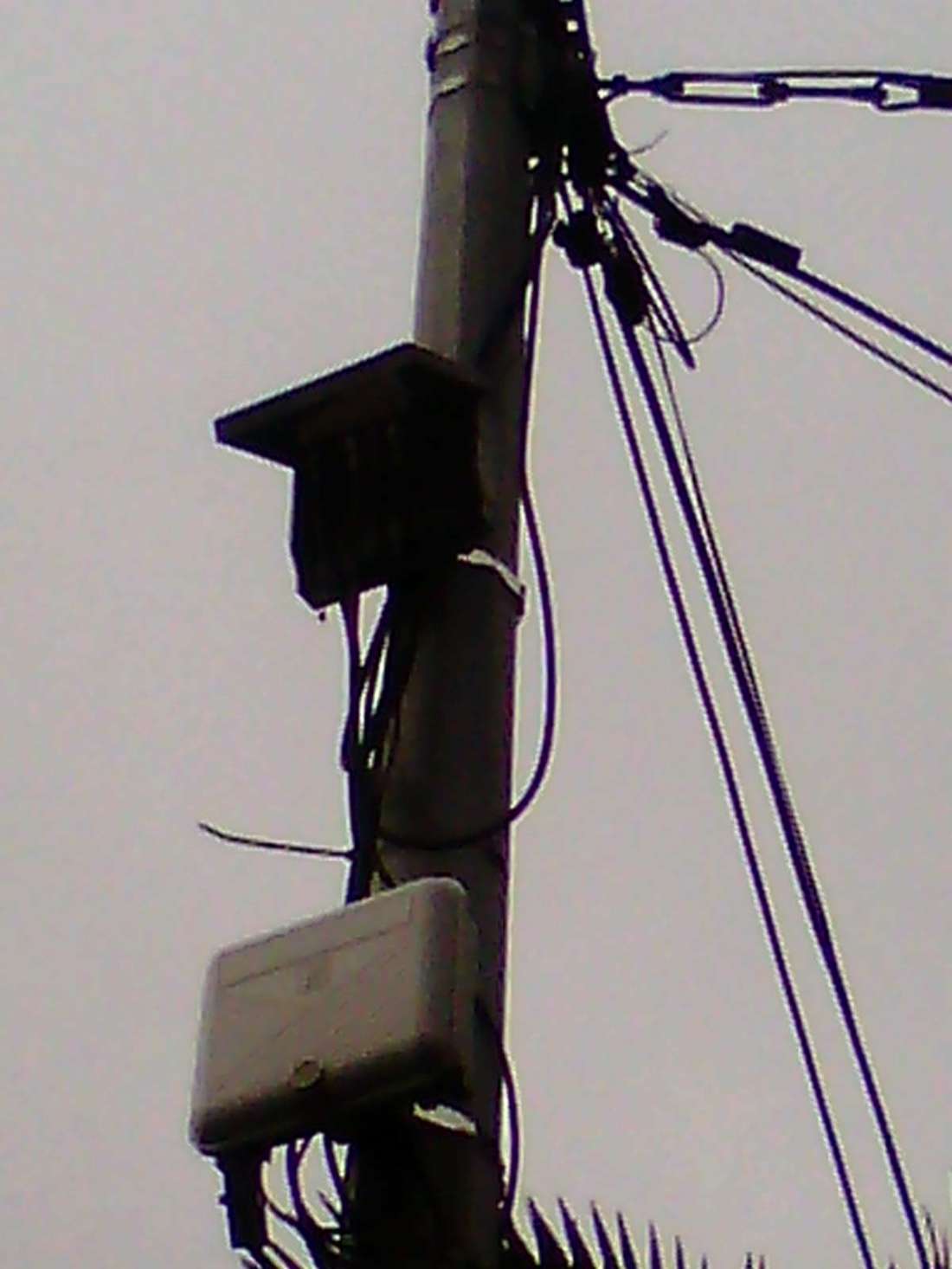 0263092.21 r j rieux tlse