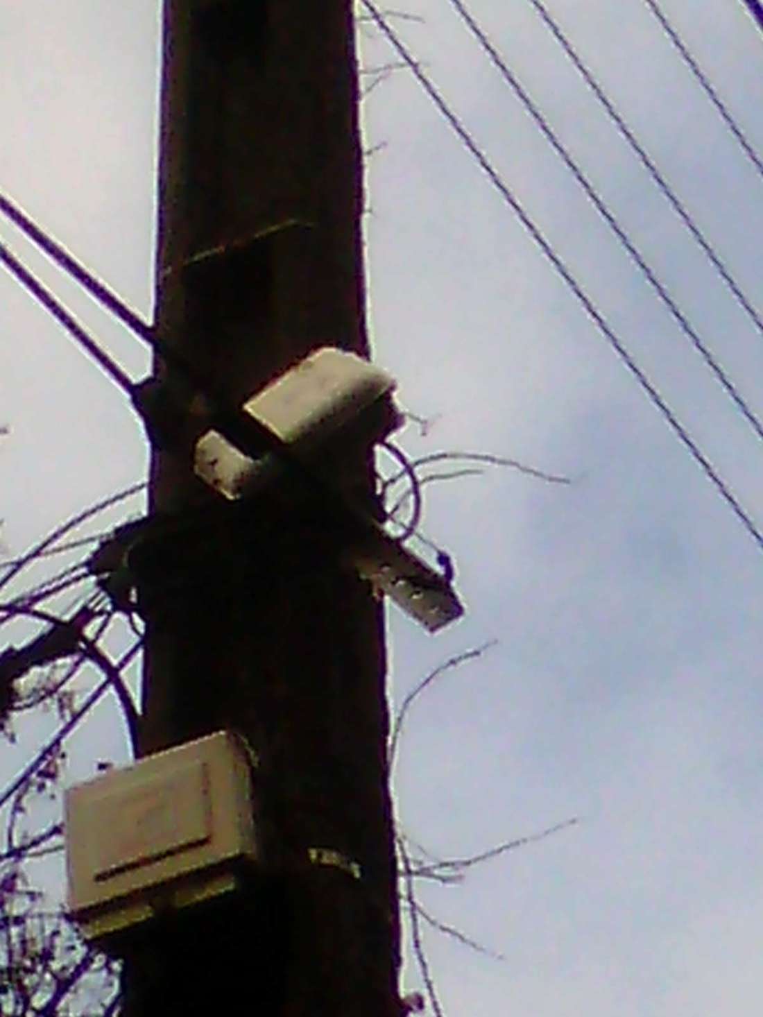 188 av j rieux  tlse .421 951 232