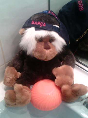 Le redoutable twitter