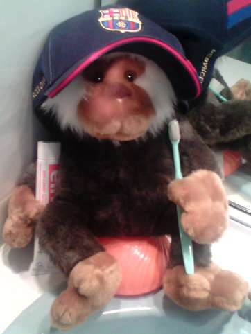 The star is coming back