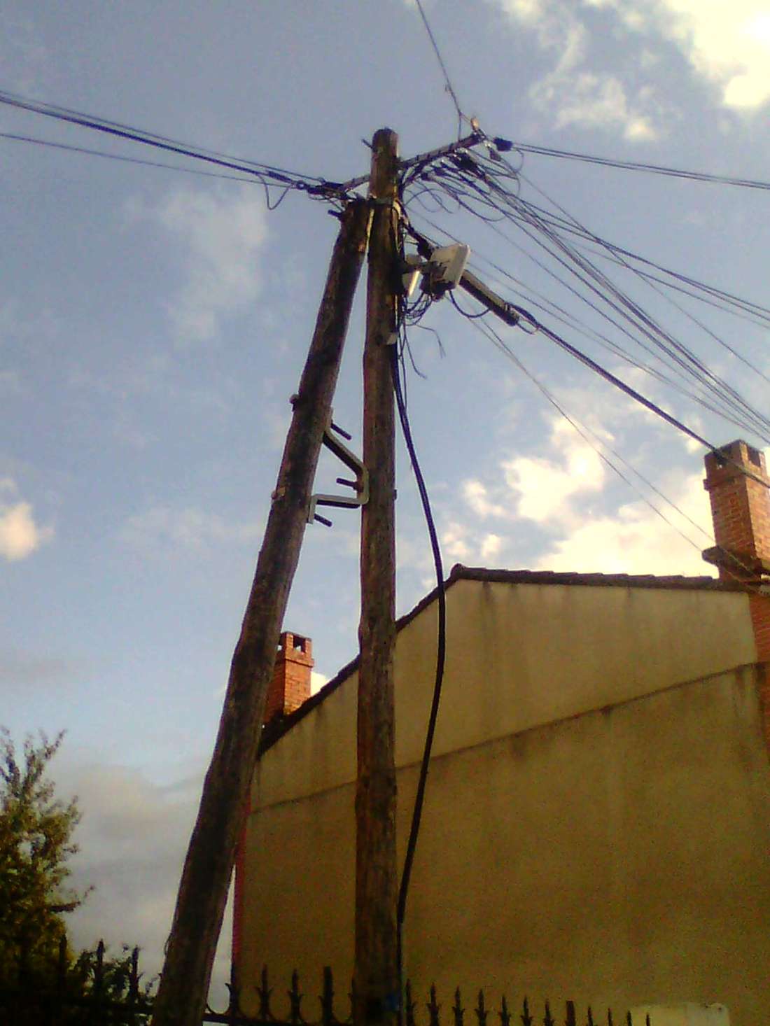 0274235  face39 r de la fourmi tlse