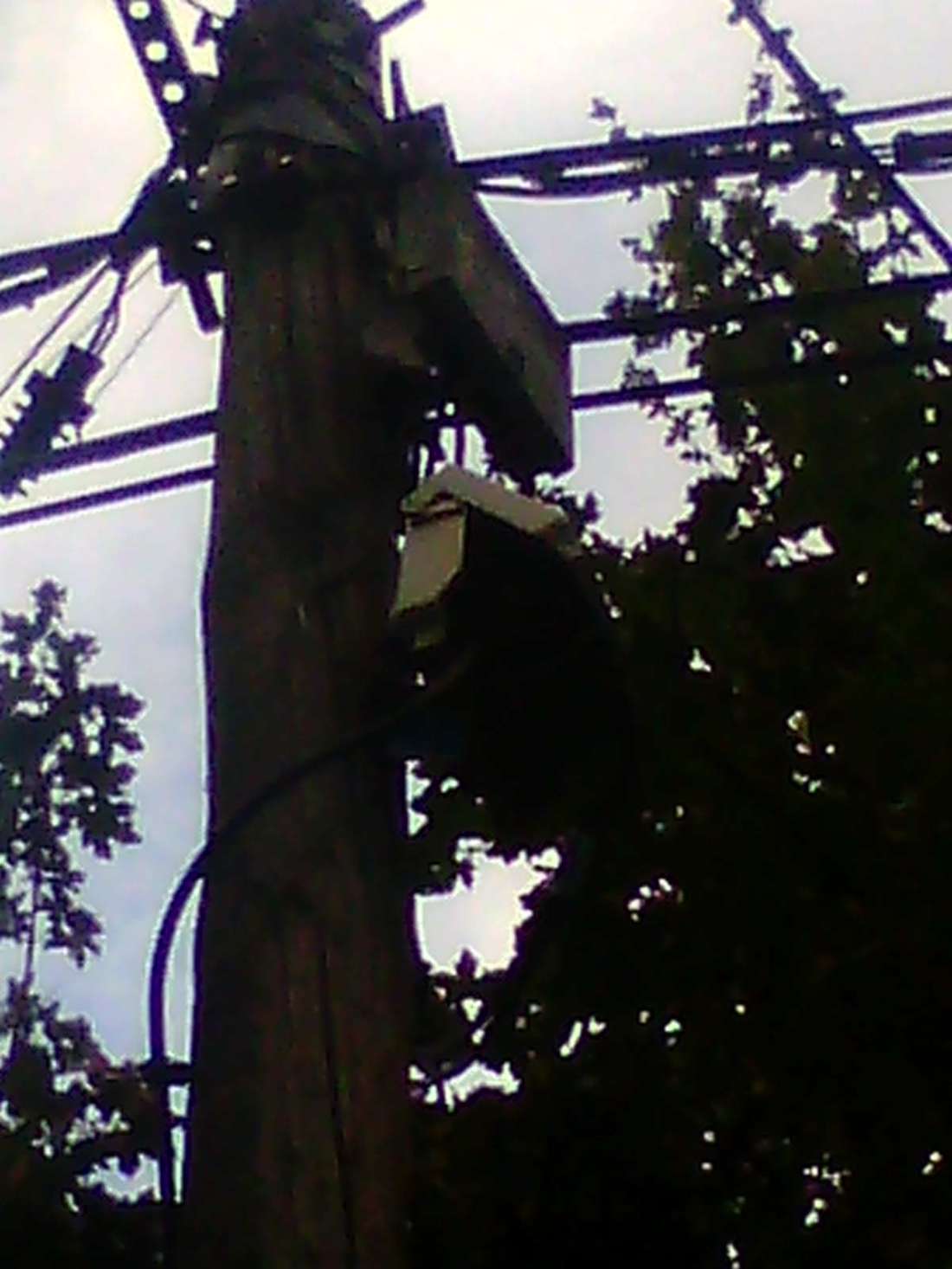 110br amidonniers 0261865