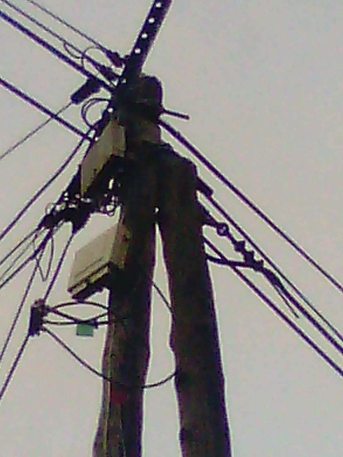 114 rdes amidonniers 0261867 tlse