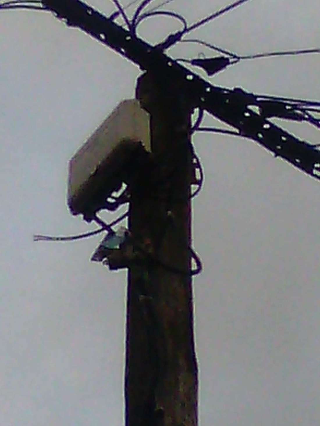 0261917 25b rue ste therese tlse