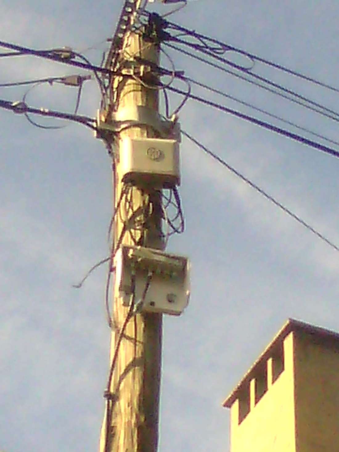 0265273  7r des bouleaux