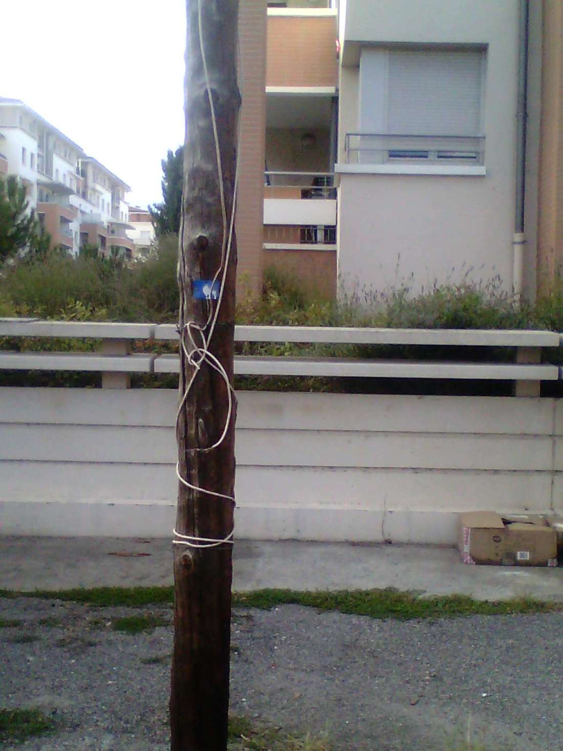 0274293 9rauguste lafront tlse resi