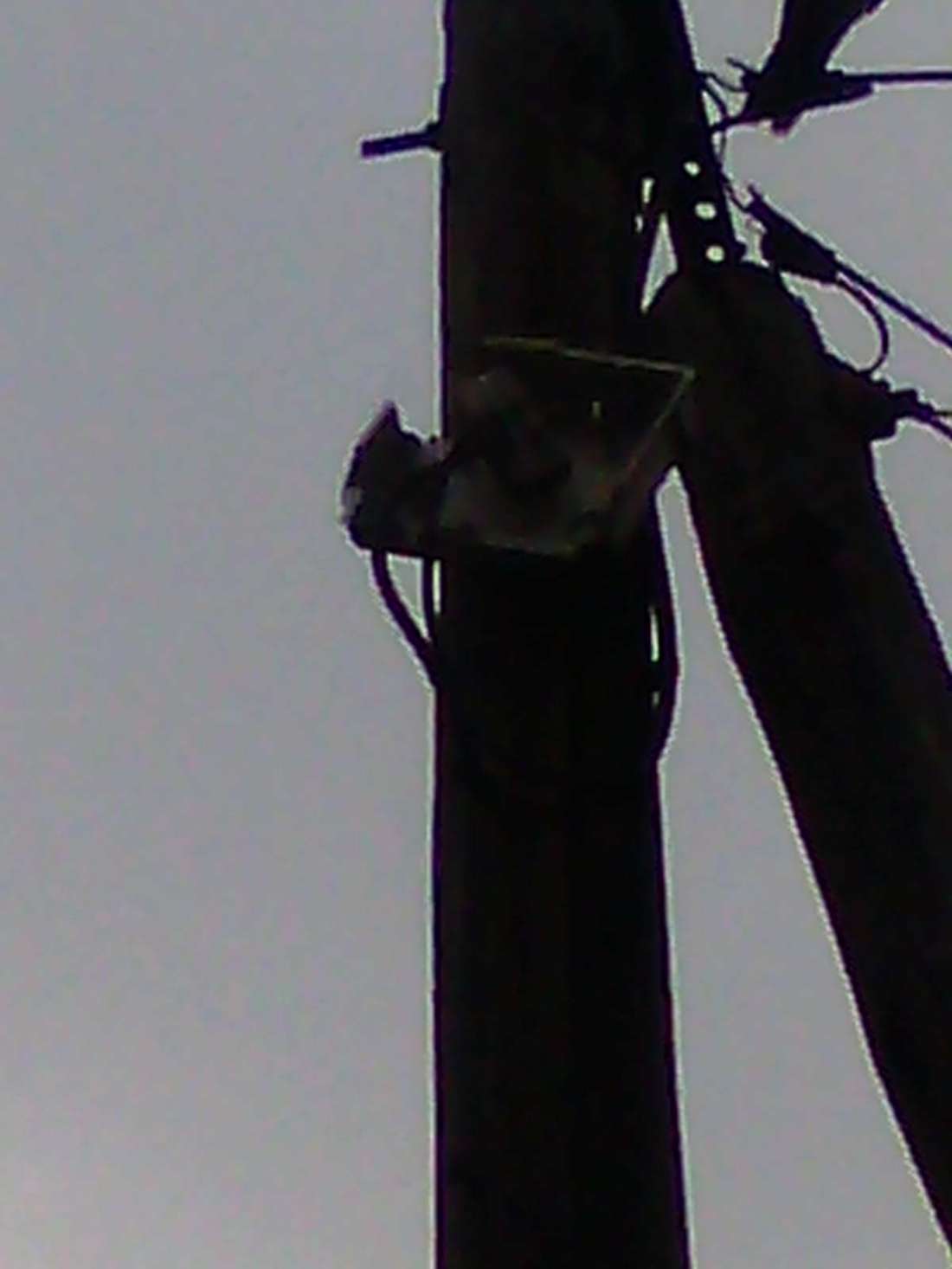 0261044 rauguste granier face2 tlse