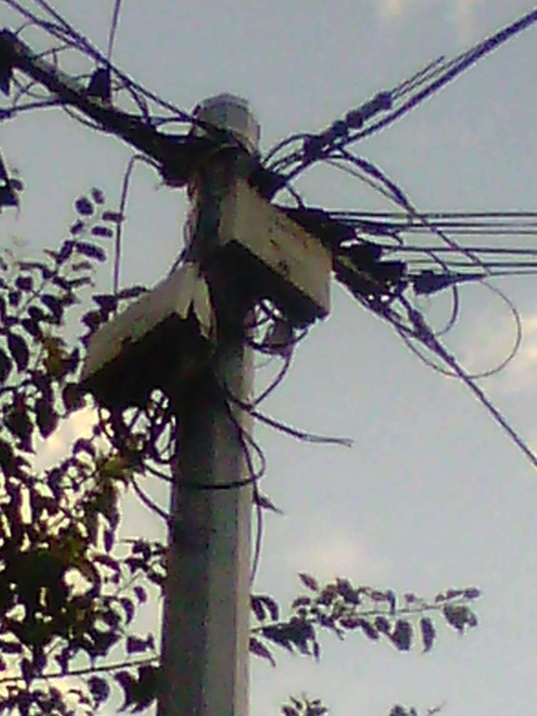 0274222 11im veoli marcou debax tls