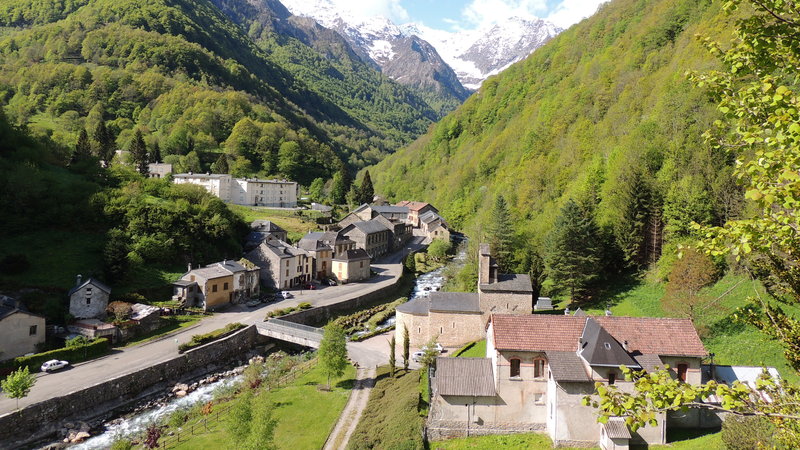 grewfvjpnmsckre-800x450-nopad