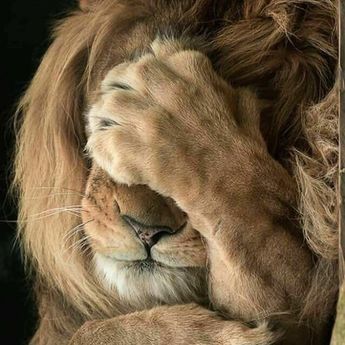 7f2e93957010c98ad7d02a078a0c458d